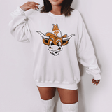 Bevo Blast from the Past Vintage UT Austin Sweatshirt