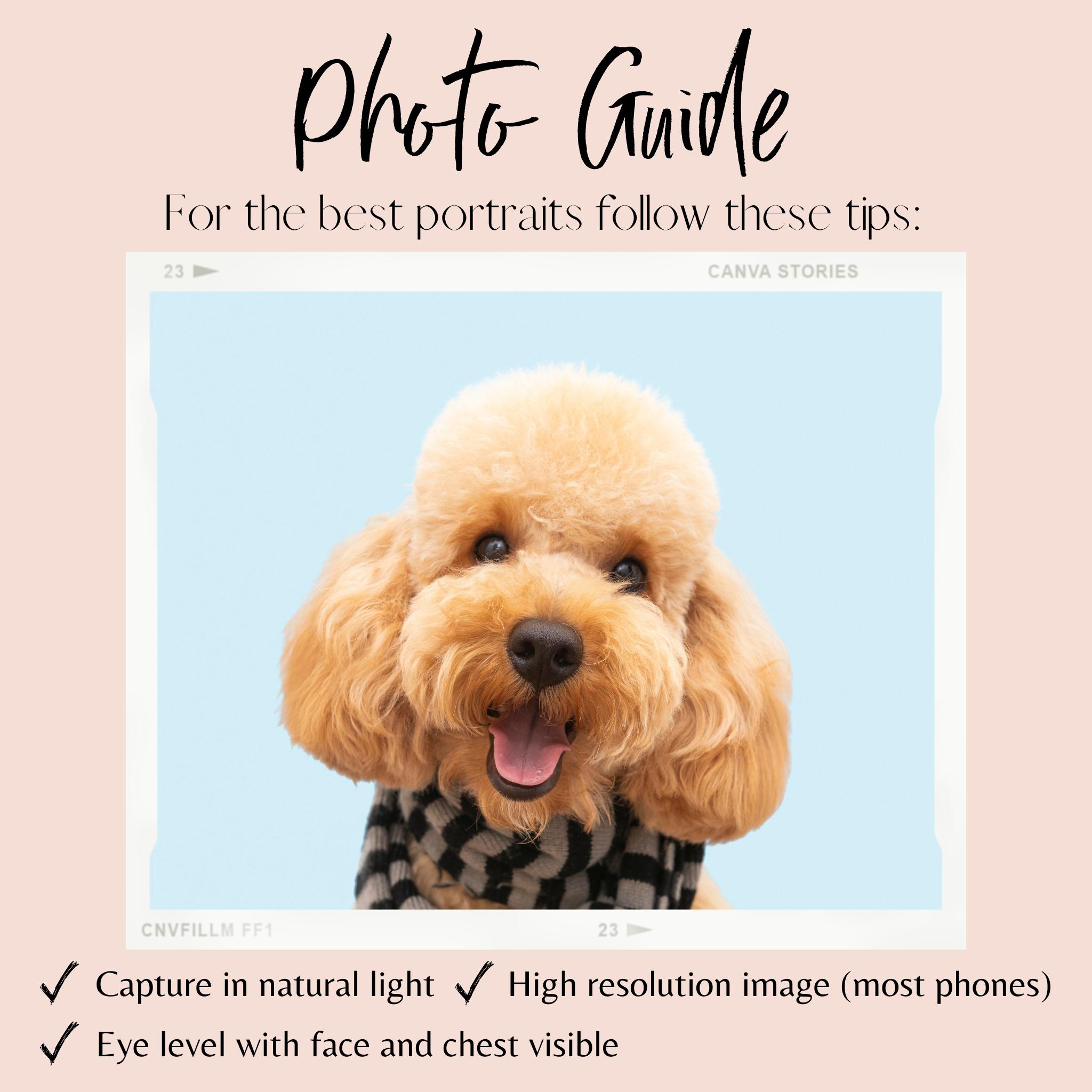 Custom Pet Portrait