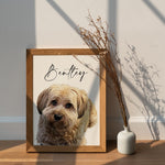 Custom Pet Portrait