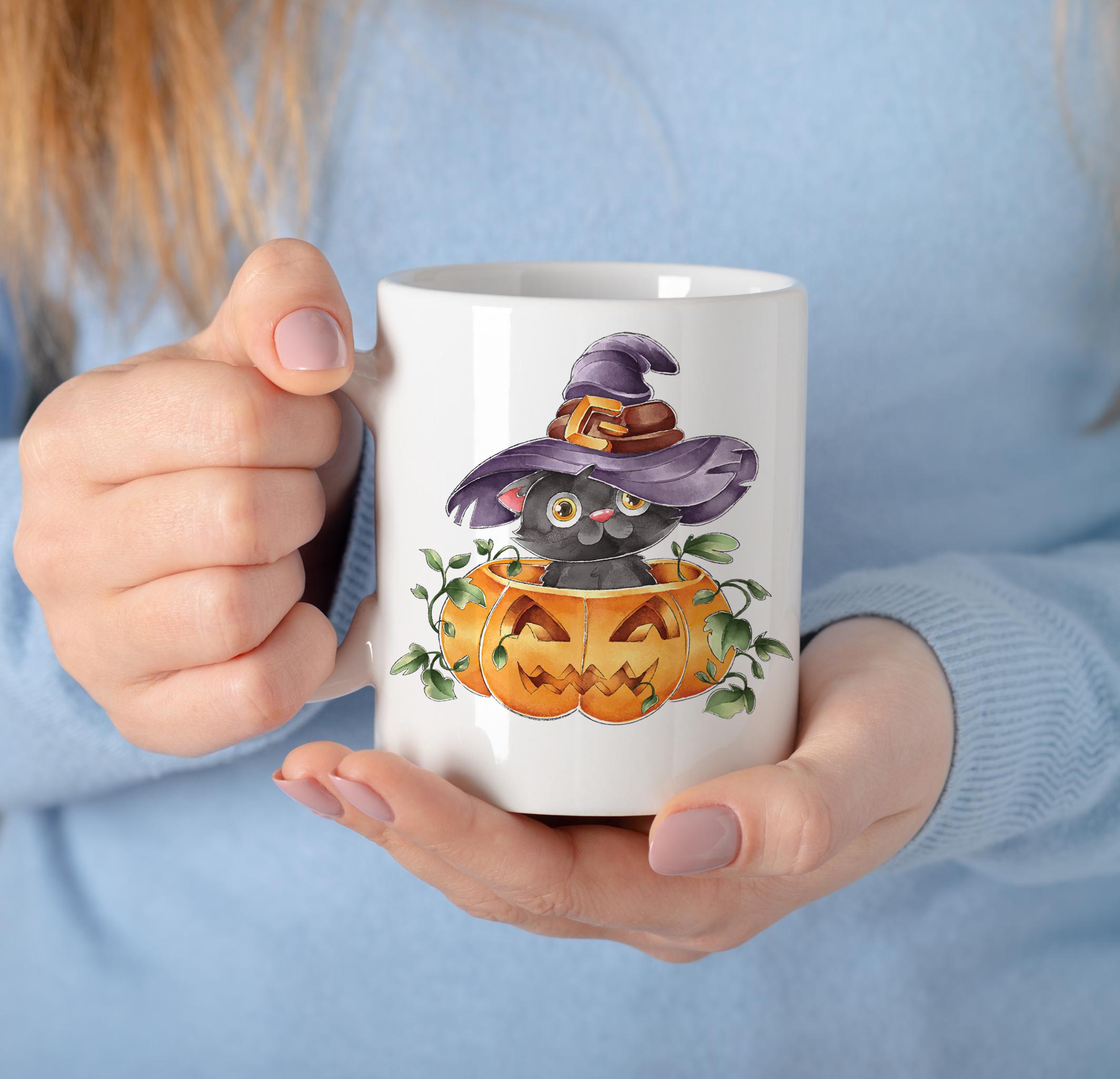 Halloween Witch Kitty
