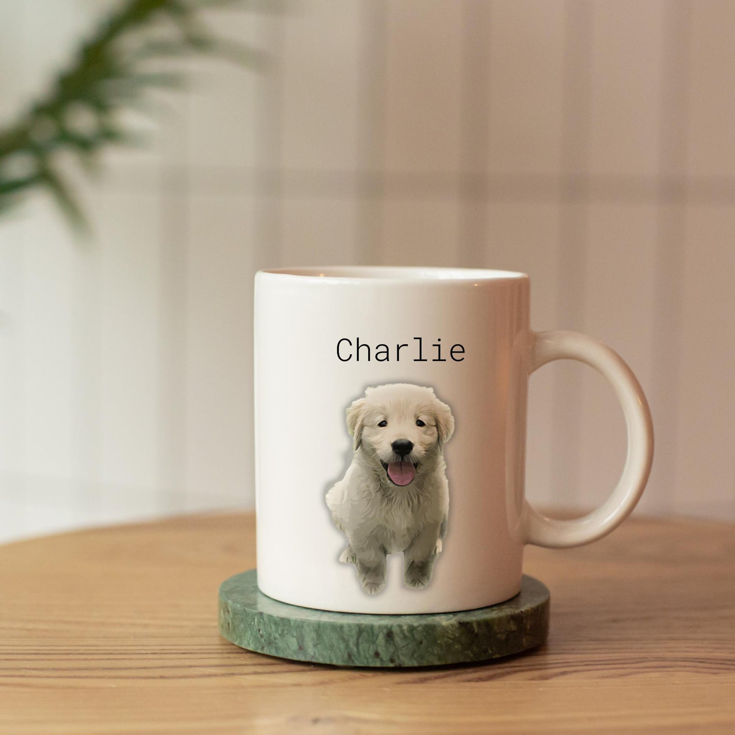 Personalized Modern Pet Mugs