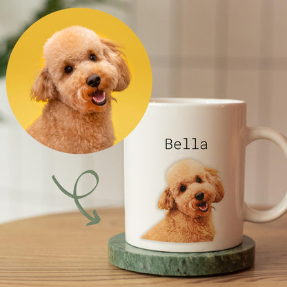 Personalized Modern Pet Mugs