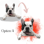 Personalized Pet Mugs